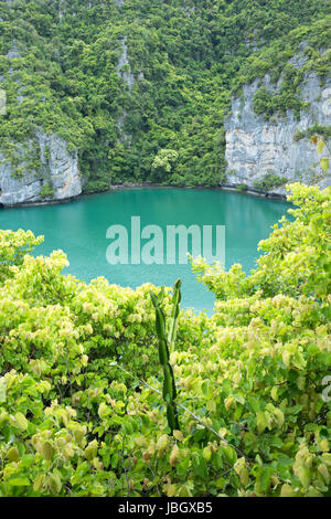 Die Lagune genannt "Talay Nai' im Moo Koh Ang Tong National Park Stockfoto