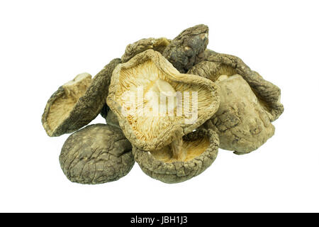 Getrocknete Pilze isoliert auf weißem Hintergrund Stockfoto