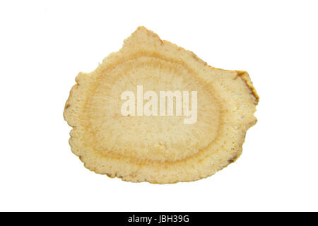 Close up Portrait of geschnittenen amerikanischer Ginseng auf dem weißen Hintergrund isoliert Stockfoto