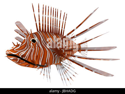 Digitale 3D Rendern eines Pterois oder Feuerfische, eine Gattung der giftigen Meeresfische aus dem Indo-Pazifik, isoliert auf weißem Hintergrund Stockfoto