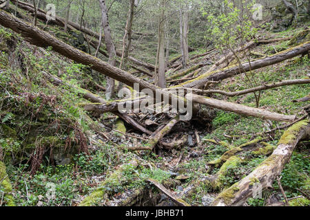 Weicht der bode bin Harzer Hexen-Stieg Stockfoto