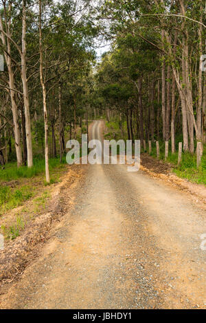 Ein Feldweg in Land NSW, Australien Stockfoto