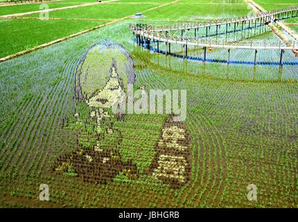 Peking, China. 8. Juni 2017. Foto aufgenommen am 8. Juni 2017 zeigt die 3D Reisfelder in Shenyang, Hauptstadt des nordöstlichen Chinas Liaoning Provinz. Bildnachweis: Wang Denghu/Xinhua/Alamy Live-Nachrichten Stockfoto