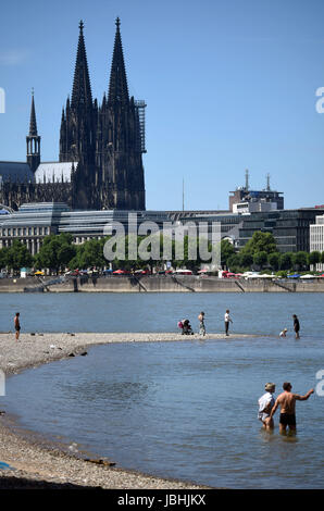 Köln, Deutschland. 11. Juni 2017. Leute aus Köln genießen das sommerliche Wetter an den Ufern des Rheins in Köln, Deutschland, 11. Juni 2017. Foto: Henning Kaiser/Dpa/Alamy Live News Stockfoto