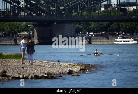 Köln, Deutschland. 11. Juni 2017. Leute aus Köln genießen das sommerliche Wetter an den Ufern des Rheins in Köln, Deutschland, 11. Juni 2017. Foto: Henning Kaiser/Dpa/Alamy Live News Stockfoto