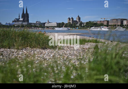 Köln, Deutschland. 11. Juni 2017. Leute aus Köln genießen das sommerliche Wetter an den Ufern des Rheins in Köln, Deutschland, 11. Juni 2017. Foto: Henning Kaiser/Dpa/Alamy Live News Stockfoto