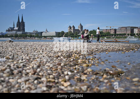 Köln, Deutschland. 11. Juni 2017. Leute aus Köln genießen das sommerliche Wetter an den Ufern des Rheins in Köln, Deutschland, 11. Juni 2017. Foto: Henning Kaiser/Dpa/Alamy Live News Stockfoto