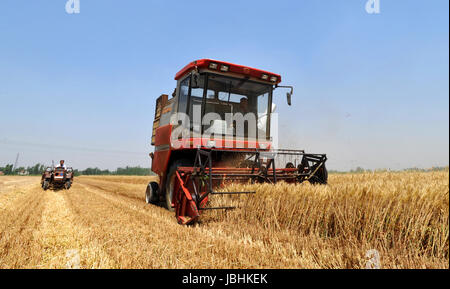 Cangzhou, Chinas Provinz Hebei. 11. Juni 2017. Ein Harvester sammelt Weizen in Nanpi County, Nordchinas Provinz Hebei, 11. Juni 2017. Mehr als 70 Prozent der Sommerweizen sind über das ganze Land geerntet worden. Bildnachweis: Mu Yu/Xinhua/Alamy Live-Nachrichten Stockfoto