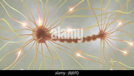 Miteinander verbundene Neuronen Informationen mit elektrischen Impulsen übertragen. Stockfoto