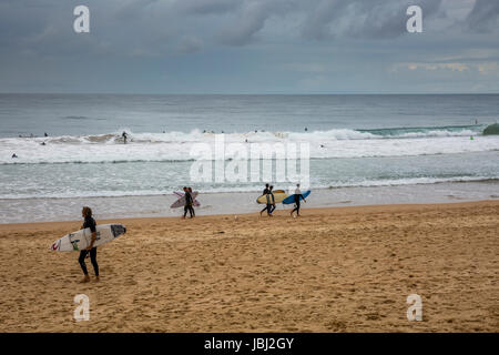 Surfer am Manly Beach an einem Wintertag, Sydney, Australien Stockfoto