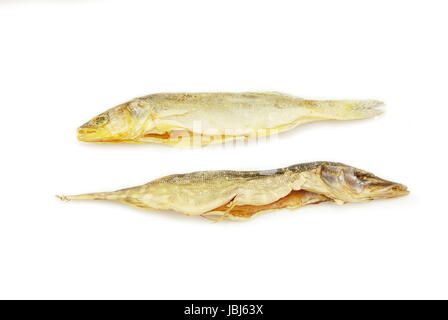 Drei Roach Fische auf dem weißen Hintergrund isoliert Stockfoto