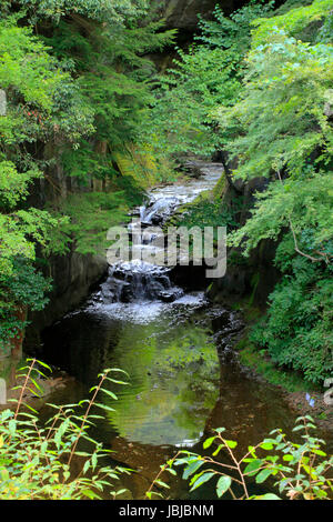 NOMIZO-keine-Taki Wasserfälle in Kimitsu Chiba Japan Stockfoto