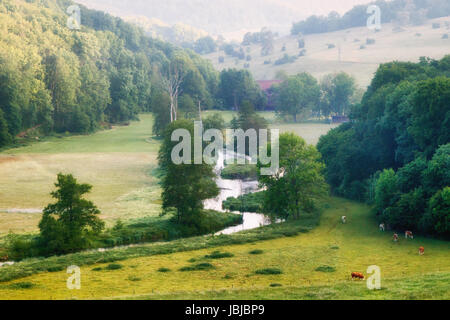 Panorama, der Vogelperspektive des Flusses Brenz im Eselsburger Tal (Eselsburger Tal) an einem sonnigen Sommermorgen. Stockfoto