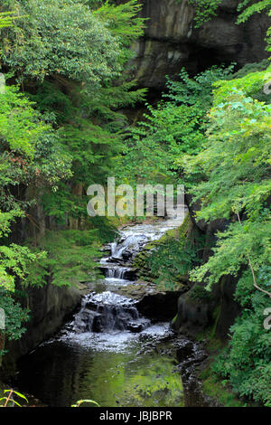 NOMIZO-keine-Taki Wasserfälle in Kimitsu Chiba Japan Stockfoto