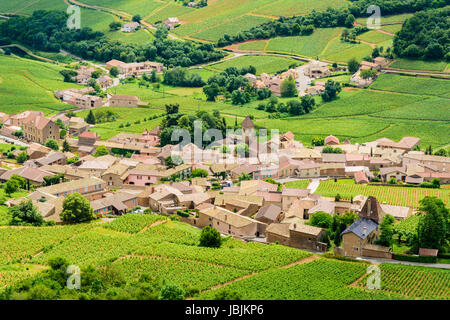 Die kleine Stadt von Solutré-Pouilly und seine Weinberge im südlichen Burgund Bourgogne-Franche-Comté, Frankreich Stockfoto