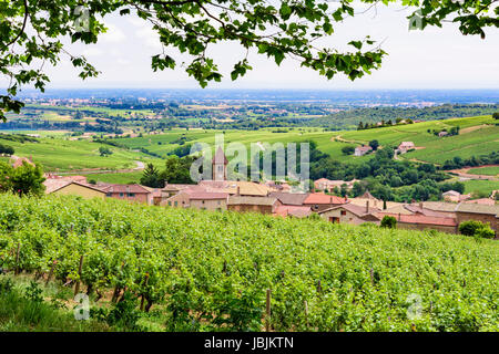 Baum gerahmte Blick auf die Stadt von Solutré-Pouilly und seine Weinberge im südlichen Burgund Bourgogne-Franche-Comté, Frankreich Stockfoto