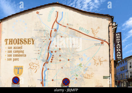 Aufbau Wandbild einer Karte der Umgebung Thoissey, Châtillon-Sur-Chalaronne, Bourg-En-Bresse, Ain, Auvergne, Rhône-Alpes, Frankreich Stockfoto
