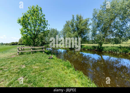 DEDHAM FLUSS SZENEN MIT BOOTFAHREN Stockfoto