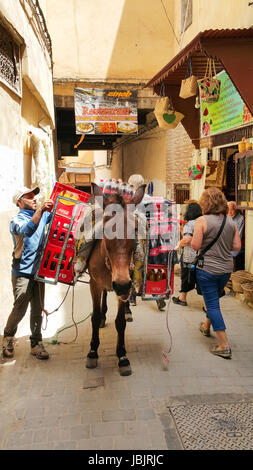 Fes, Marokko - 7. Mai 2017: Junge marokkanische Mann Kisten gefüllt mit Cola-Flaschen aus dem Rücken eines Maultiers in der Medina von Fes, Marokko, nicht entladen wird Stockfoto