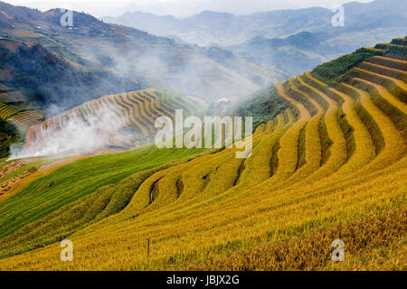 Viet Nam Mu Cang Chai terrassierten Reisfelder auf Erntezeit oder goldene Saison einschließlich der Berg Hügel Kurve Textur und Gebirge Stockfoto