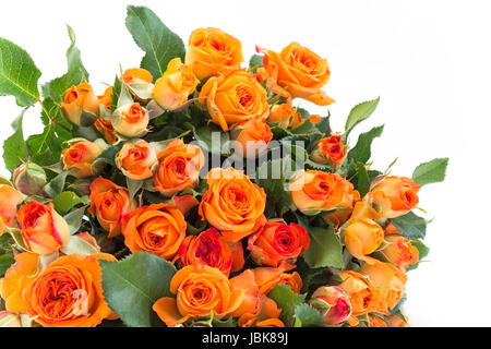 Bouquet von Orange Rosen auf weißem Hintergrund. Stockfoto