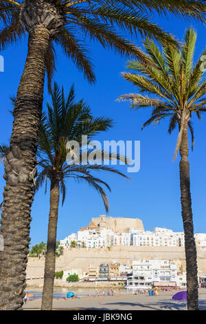 Palme gerahmt Strand und Altstadt, gekrönt von Papa Luna Schloss, Peniscola, Castellon, Spanien Stockfoto