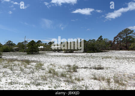 Picknickschutz, Bäume, Sträucher und Gräser am Strand Park auf Florida's Gulf Coast Stockfoto