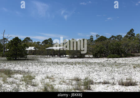 Picknickschutz, Bäume, Sträucher und Gräser am Strand Park auf Florida's Gulf Coast Stockfoto