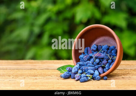 Reife Geißblatt Beeren in Schüssel auf Holztisch mit grünen natürlichen Hintergrund jedoch unscharf. Sommer Hintergrund mit textfreiraum und selektiven Fokus. Frische b Stockfoto