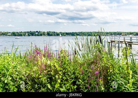 Berlin: Villa von Max Liebermann am Wannsee Stockfoto