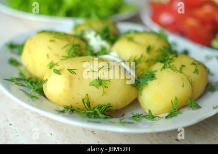 Frisches Bio-Gemüse und gekochten neuen Kartoffeln auf den Tellern auf dem Holztisch. Großaufnahme, selektiven Fokus. Stockfoto