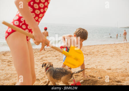 Jungen und Mädchen Bruder und Schwester spielen mit Hund und Graben im Sand mit Schaufeln am Sonnenstrand