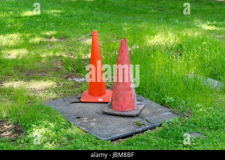 Ein sonniger Tag im Park mit der Natur und Kleinigkeiten des Parks. Stockfoto