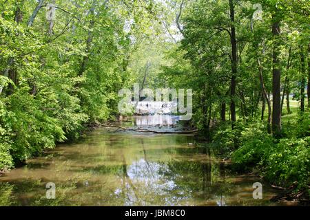 Ein sonniger Tag im Park mit der Natur und Kleinigkeiten des Parks. Stockfoto