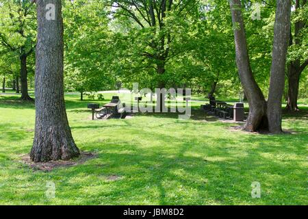 Ein sonniger Tag im Park mit der Natur und Kleinigkeiten des Parks. Stockfoto
