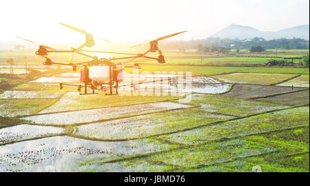 UAV, Landwirtschaft drone Technologie, Präzisionslandwirtschaft, Vermessung Kulturen Konzept. Drohne Spray Insektizid in eingereichten Reis mit Fackel Lichteffekt. Stockfoto