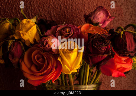 Bunte Rosen in Glasvase mit warmen Fenster Fensterlicht welke Stockfoto