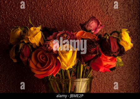 Bunte Rosen in Glasvase mit warmen Fenster Fensterlicht welke Stockfoto