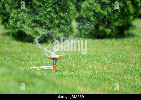 Garten Sprinkler arbeitet auf einem grünen Rasen Stockfoto
