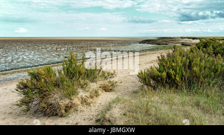 Strand - Bradwell-on-Sea, Essex, England, Vereinigtes Königreich Stockfoto