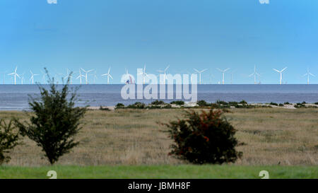 Windpark Gunfleet Sands angesehen von Bradwell-on-Sea, Essex, UK Stockfoto