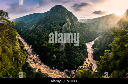 Leven Canyon, Tasmanien Stockfoto