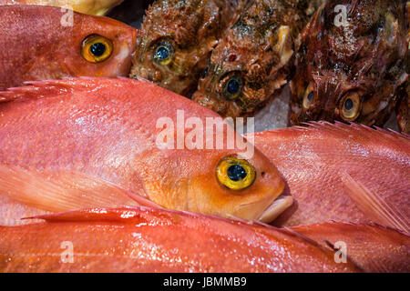 Frische Fische Auf Einem Markt. Stockfoto