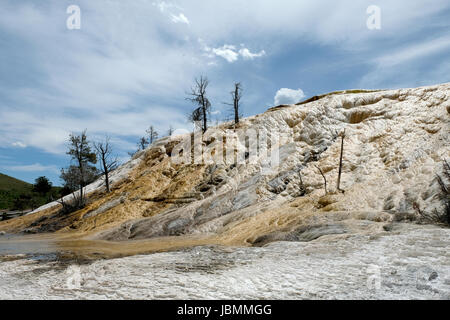 Die Travertin-Terrassen zur Palette Spring, Mammoth Hot Springs, Yellowstone-Nationalpark, Wyoming, USA Stockfoto