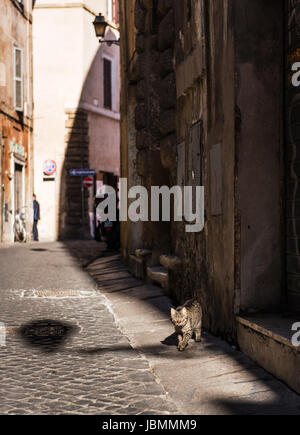 Zentrum von Rom, kleine attraktive Gasse Stockfoto