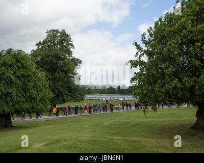 RHS Chatsworth Blumenschau 2017 Stockfoto