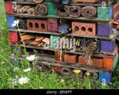 RHS Chatsworth Blumenschau 2017 Stockfoto