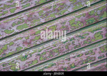 Abblätternde Farbe auf eine Strandbude, Christchurch, Dorset Stockfoto