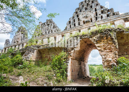 Zerstörten Mauer und Torbogen im vordringenden Dschungel in Uxmal, eine alte Maya-Stadt archäologische Stätte, Merida, Yucatan, Mexiko, UNESCO-Weltkulturerbe Stockfoto