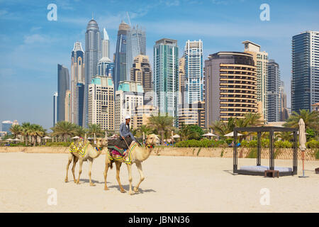 DUBAI, Vereinigte Arabische Emirate - 28. März 2017: The Marina Towers und die Kamele am Strand. Stockfoto